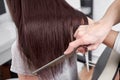 Closeup of hair stylist combing client`s hair in salon Royalty Free Stock Photo