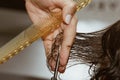 Closeup of a hairdresser cuts the wet brown hair of a client in a salon. Hairdresser cuts a woman. Side view of a hand cutting Royalty Free Stock Photo