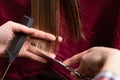 Closeup of hairdresser cutting blonde womens dry hair ends at home or salon Royalty Free Stock Photo