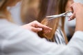 Closeup of hairdresser hands cutting long female hair Royalty Free Stock Photo