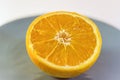 Closeup of a Half Orange on a Blue Plate Royalty Free Stock Photo