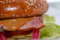 Closeup of hamburger ingredients