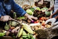 Closeup of hand buying fresh organic vegetable at market