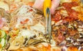 Closeup hand of chef baker cutting pizza focaccia at kitchen. Food, italian cuisine and cooking concept. Royalty Free Stock Photo