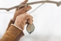 Closeup on hand hanging bird feeder on tree Royalty Free Stock Photo