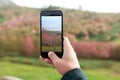 Closeup hand hold phone taking landscape photo