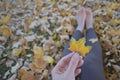 Closeup of hand holding Autumn leaf Royalty Free Stock Photo