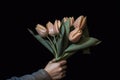 Closeup Of Hand Holding Bouquet Of Tulips. Generative AI