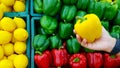 Closeup hand holding fresh yellow bell pepper with lemon, green and red pepper blurred background with copy space on left. Royalty Free Stock Photo