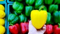 Closeup hand holding fresh yellow bell pepper with lemon, green and red pepper blurred background with copy space on left Royalty Free Stock Photo