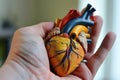 closeup of a hand holding a model human heart Royalty Free Stock Photo