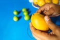 Closeup of the hand of a Latin woman peeling a mango with a blue background with jocotes and typical summer fruits in