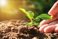 Closeup hand of person holding abundance soil with young plant i