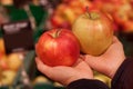 Closeup of hand pick red and green apple in supermarket. Royalty Free Stock Photo