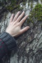 Closeup of hand touching a tree