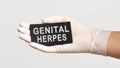 Closeup of the hand in a white sterile glove holding a card with words - GENITAL HERPES