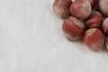 Closeup of a handful of hazelnuts