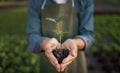 Closeup of a Handful of Soil