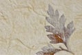 Closeup of handmade paper texture background