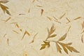 Closeup of handmade paper texture background with petals Royalty Free Stock Photo