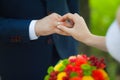 Closeup of hands of bridal couple with wedding rings Royalty Free Stock Photo