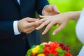 Closeup of hands of bridal couple with wedding rings Royalty Free Stock Photo