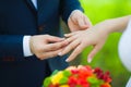 Closeup of hands of bridal couple with wedding rings Royalty Free Stock Photo