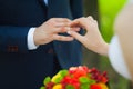 Closeup of hands of bridal unrecognizable couple with wedding rings. bride holds wedding bouquet of flowers. Royalty Free Stock Photo