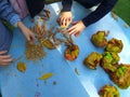 Closeup of hands of a child painting and playing with leaves in autumn - nature green art lab Royalty Free Stock Photo