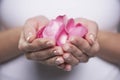 Closeup Of Hands Full Of Petals Royalty Free Stock Photo