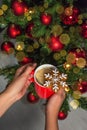 Closeup of hands gripping a red ceramic mug near a Christmas tree. Royalty Free Stock Photo