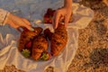 Closeup hands hold strawberries and croissants on summer picnic for two woman friends or sisters Royalty Free Stock Photo