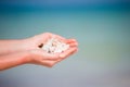 Closeup of hands holding beautiful seashells background the ocean Royalty Free Stock Photo