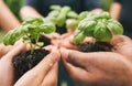 Closeup of hands holding plants outside in nature on a bright sunny day. A group of multiethnic hands holding soil with Royalty Free Stock Photo