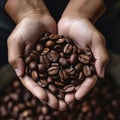 closeup hands holding ripe coffee beans