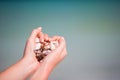 Closeup of hands holding variety of beautiful seashells Royalty Free Stock Photo