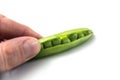 hands of man peeling fresh organic peas on white table background Royalty Free Stock Photo