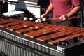 Hands of a musician playing a xylophone Royalty Free Stock Photo