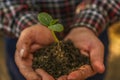 Closeup hands of person holding soil with young plant . Royalty Free Stock Photo