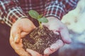 Closeup hands of person holding soil with young plant . Royalty Free Stock Photo