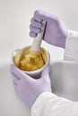 Closeup of the hands of a pharmacist or scientist, holding a mortar and pestle and wearing rubber gloves,pharmacist mixing medicin Royalty Free Stock Photo