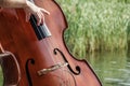 Closeup of hands play on a double bass / contrabass outdoors Royalty Free Stock Photo