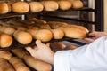 Closeup of hands of professional chef man in white uniform standing near shelves full with fresh bread and pulling baking tray for