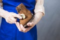 Closeup of Hands of Professional Male Shoes Cleaner with Special Hard Brush For Suede Derby Boots While Cleaning During Work in Royalty Free Stock Photo