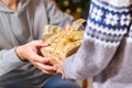 Hands of senior woman and a child holding Christmas gift Royalty Free Stock Photo