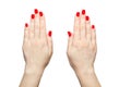 Closeup of hands a young woman with long red manicure on nails against white background Royalty Free Stock Photo