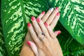 Closeup of hands of a young woman with red manicure on nails against natural green tropical background. Royalty Free Stock Photo