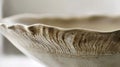 A closeup of a handsculpted ceramic bowl showcasing the artists fingerprints and rough organic edges.