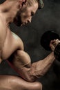 Closeup of a handsome power athletic man bodybuilder doing exercises with dumbbell. Fitness muscular body on dark Royalty Free Stock Photo