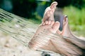 Closeup of happy family lying on hammock on sunny countryside background.